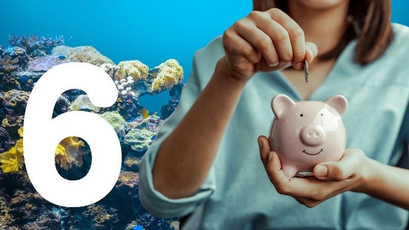 6 maneras de ahorrar dinero para iniciarte con acuarios marinos